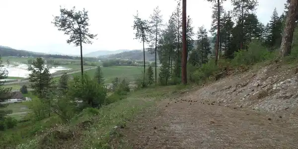 Image 4 Image 4