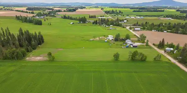 Image 4 Image 4