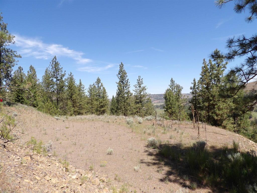 Image 1 Image 1