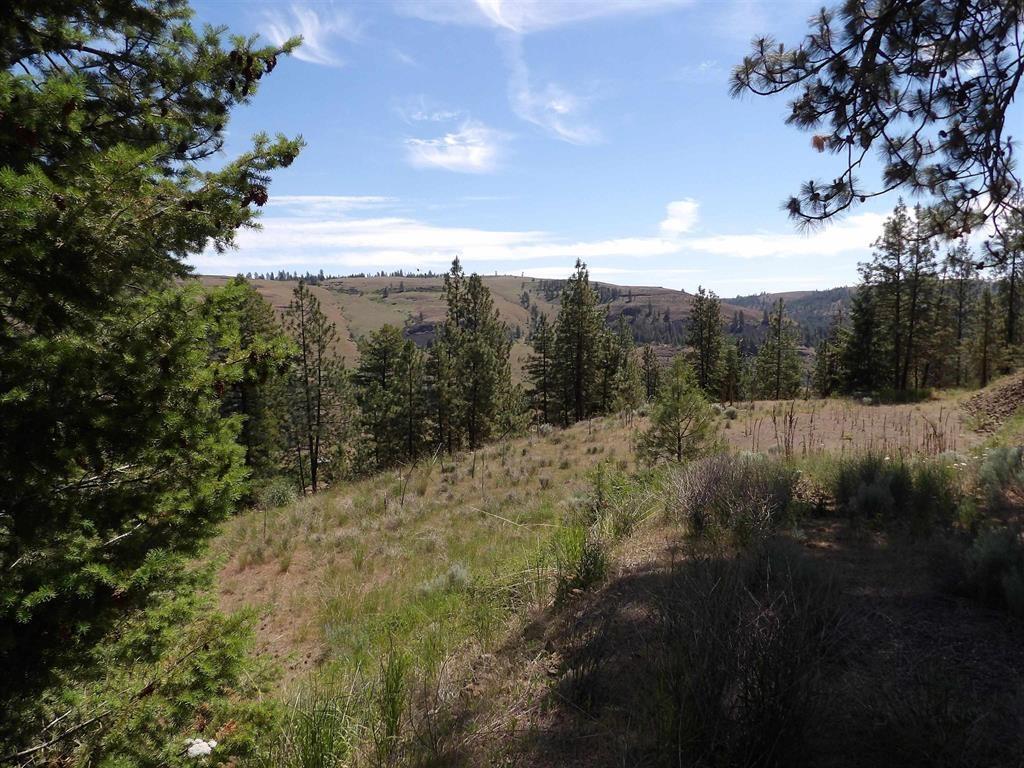 Image 4 Image 4