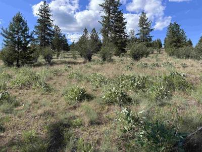 6581 Saddle Mountain Way