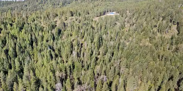 Image 3 Image 3