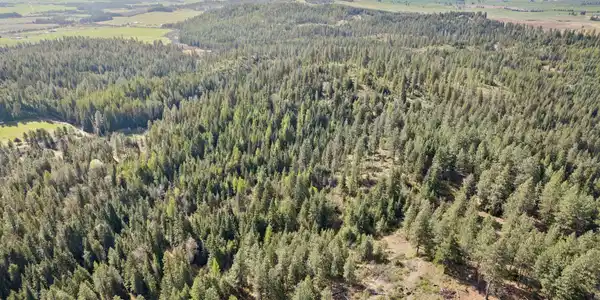 Image 4 Image 4