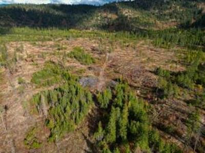 468X Lot B Grouse Creek Rd
