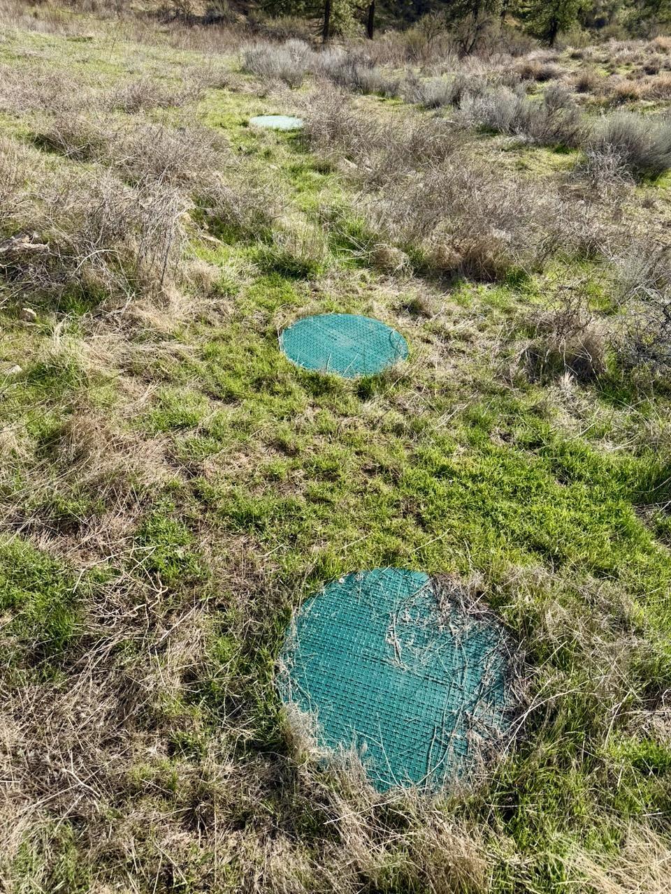 Image 4 Image 4