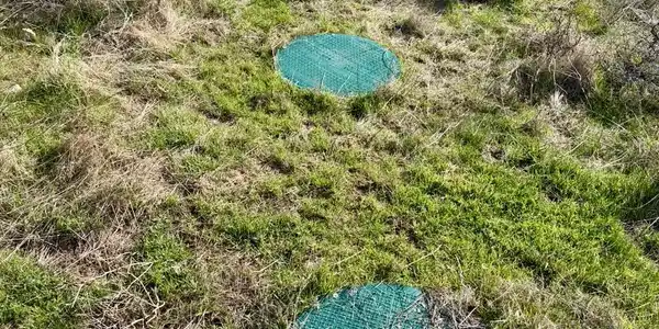 Image 4 Image 4