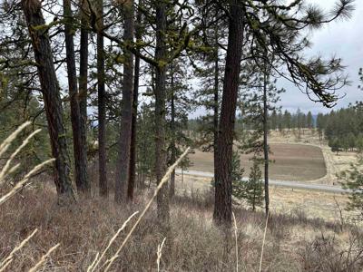 3312X Daisy Mine Rd
