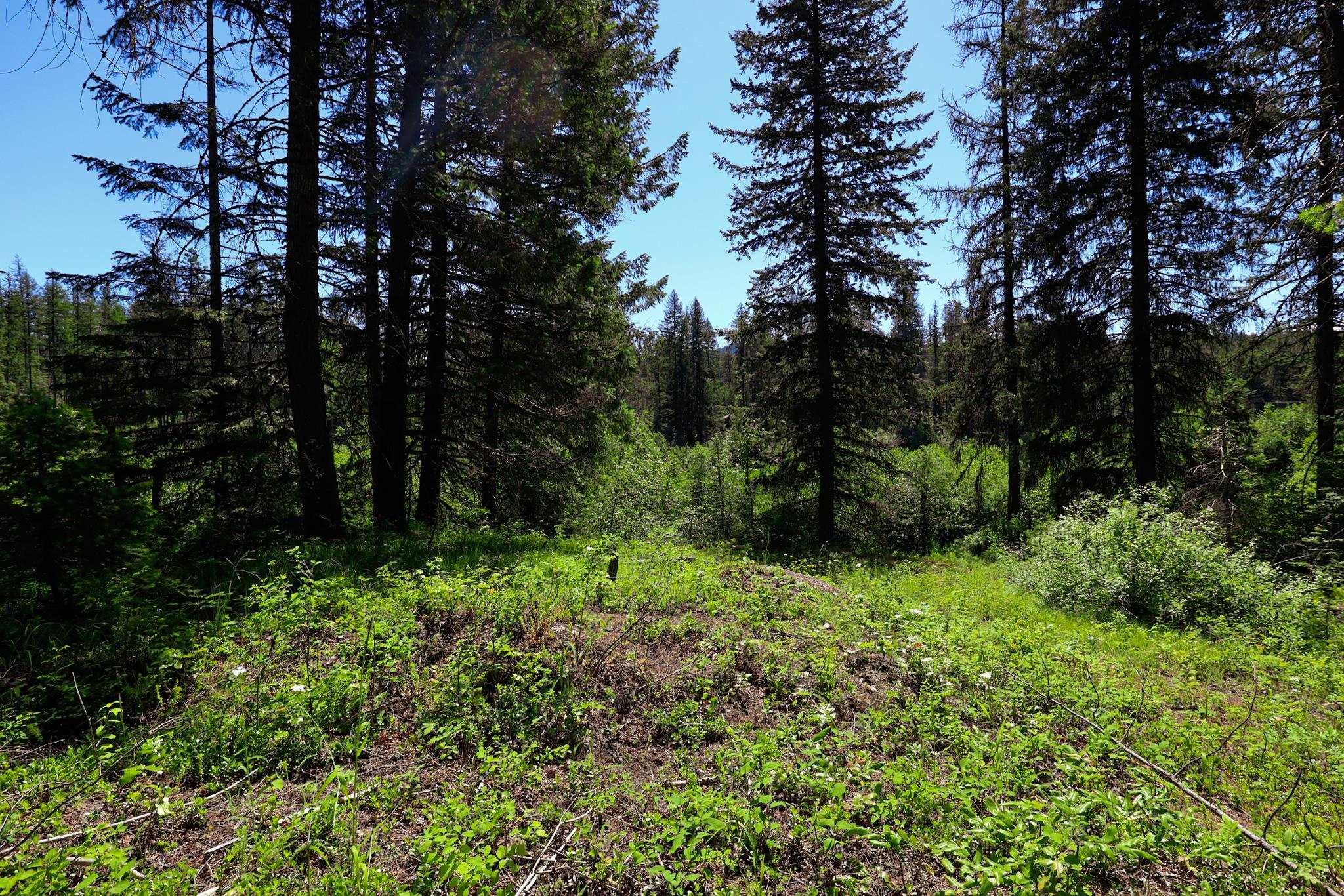 Image 3 Image 3