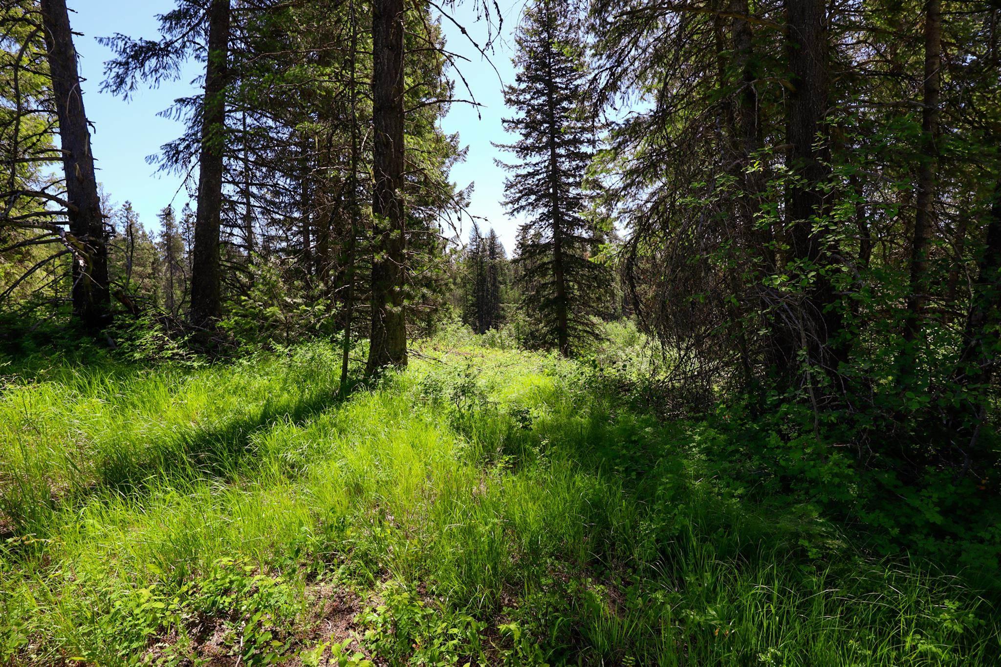 Image 4 Image 4