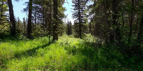 Image 4 Image 4