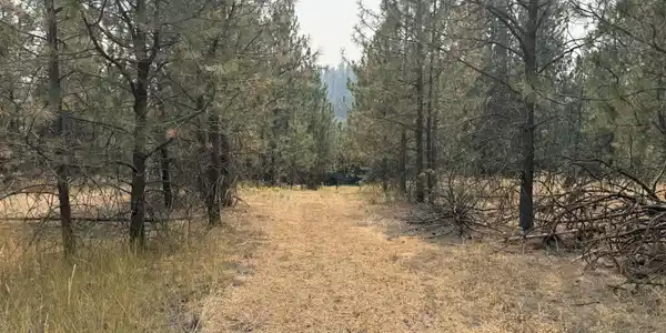 Image 3 Image 3