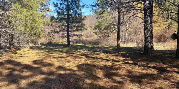 Image 3 Image 3