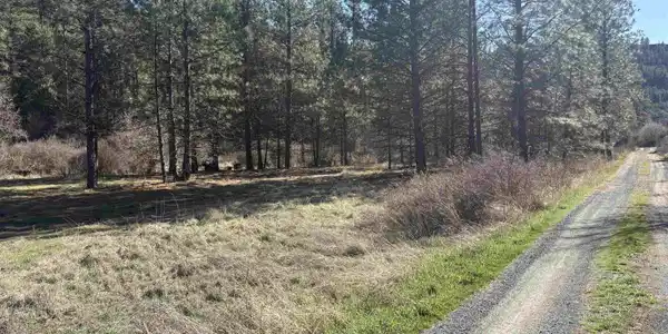 Image 4 Image 4