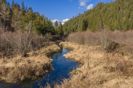 8XX Little Spokane River Rd