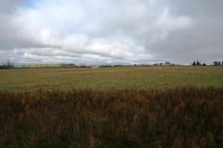 Lot 3 Mule Deer Ln