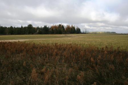 Lot 4 Mule Deer Ln