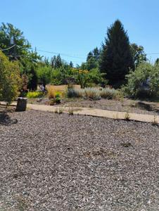 5XX N N Rees Rd  Parcel# 45143.2056 Rd
