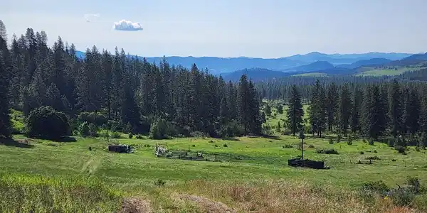xxx Hall Creek Rd