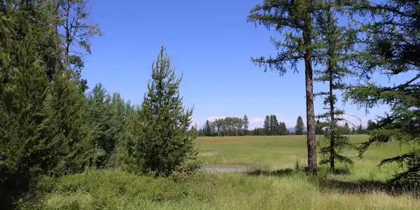Image 4 Image 4