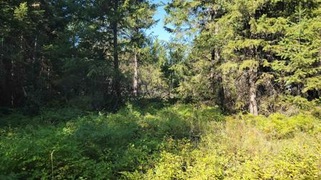 612 Overlook Dr