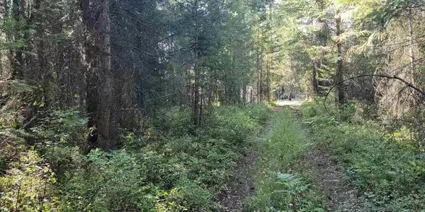 Image 4 Image 4