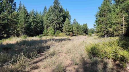 642 Overlook Dr