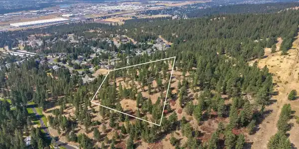 Image 4 Image 4
