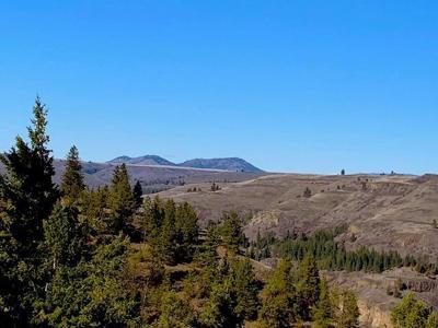 31775 Ruffed Grouse E Dr