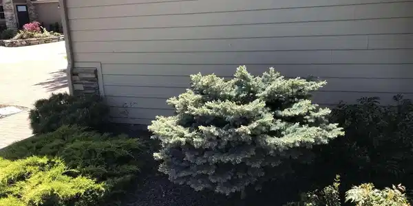 Image 4 Image 4