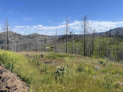 Lot 4 Rail Canyon Rd