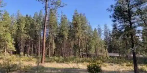 Image 4 Image 4