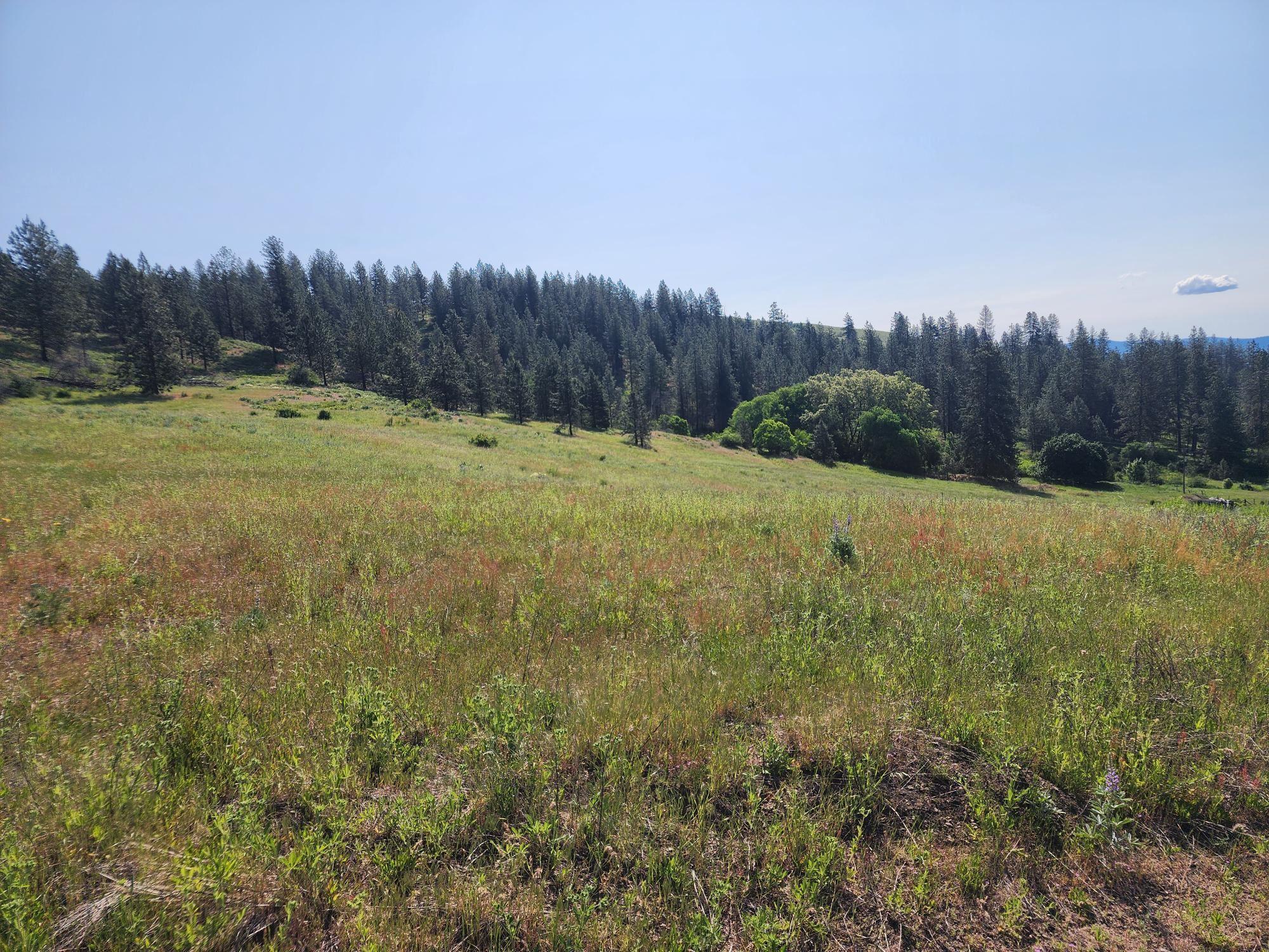 Image 4 Image 4