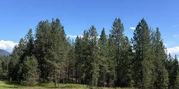 Image 3 Image 3