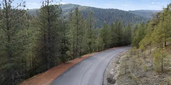 Image 4 Image 4