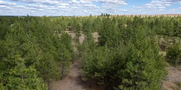 Image 4 Image 4