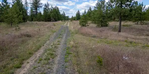 Image 3 Image 3