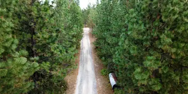 Image 3 Image 3