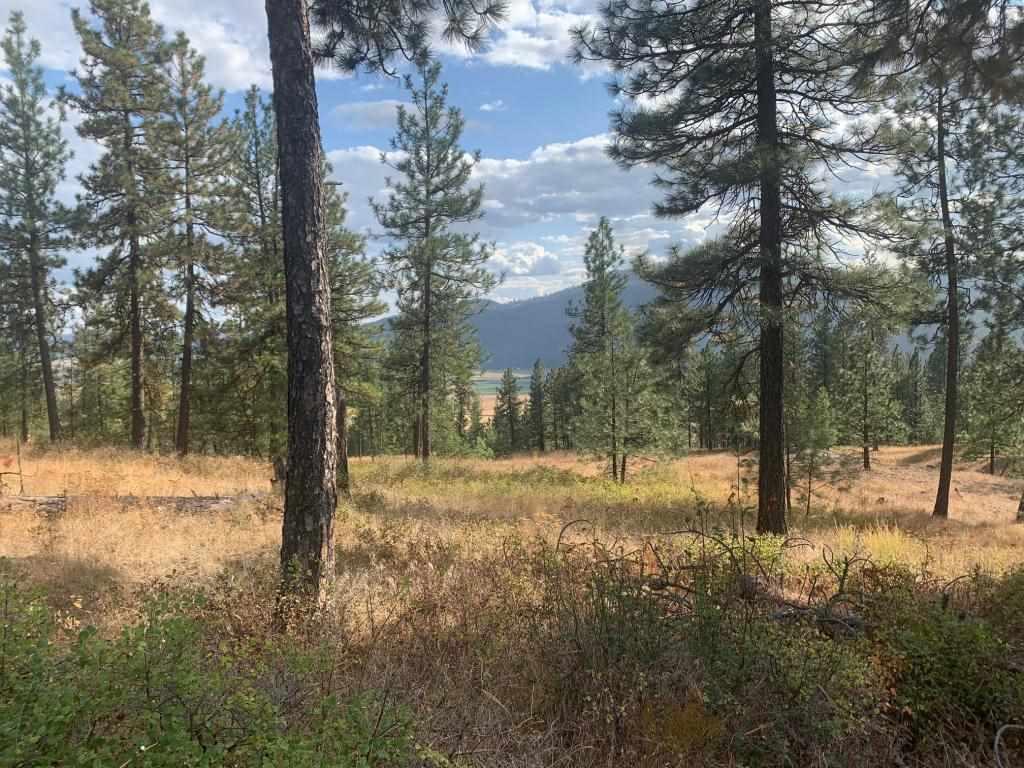 Image 1 Image 1