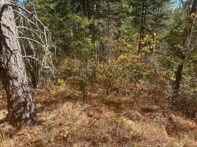 4450 TBD Buck Creek Rd