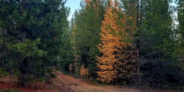 Image 3 Image 3