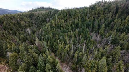 7301 WA-31 Hwy