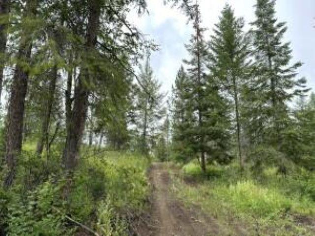 Image 3 Image 3
