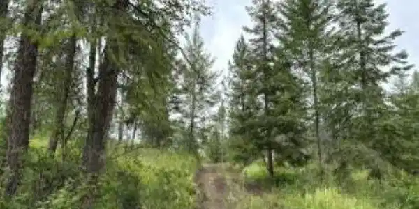 Image 3 Image 3