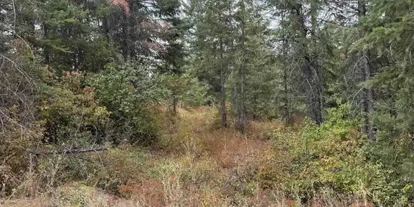 Image 4 Image 4