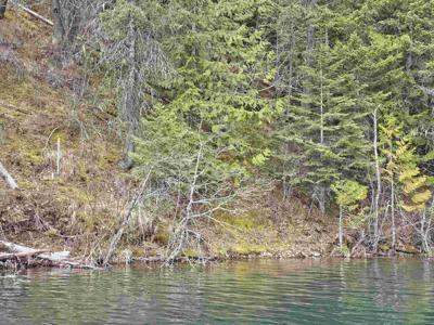 NKA Marshall Lake Rd
