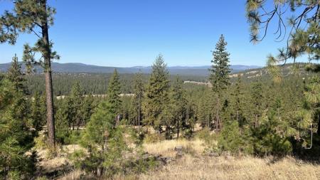 NNA Corkscrew Canyon Rd