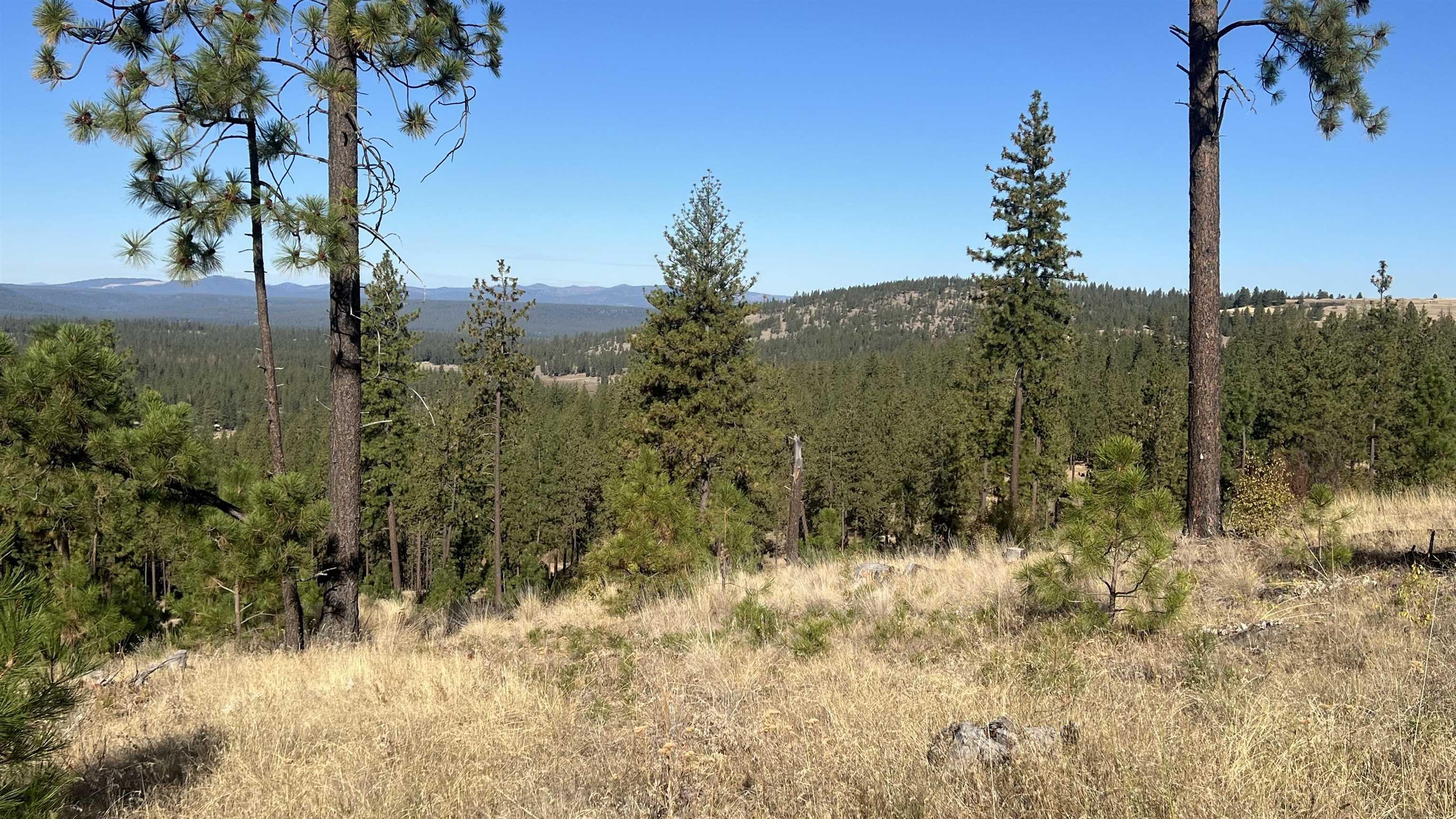 Image 3 Image 3