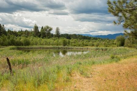 4110 Cemetery Tract AB Rd