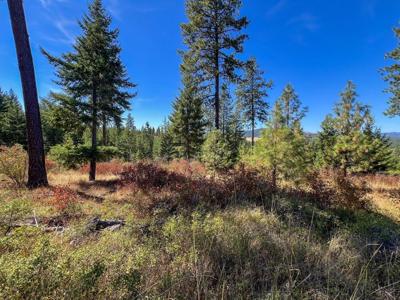 52XX Lot 7 Swenson Rd