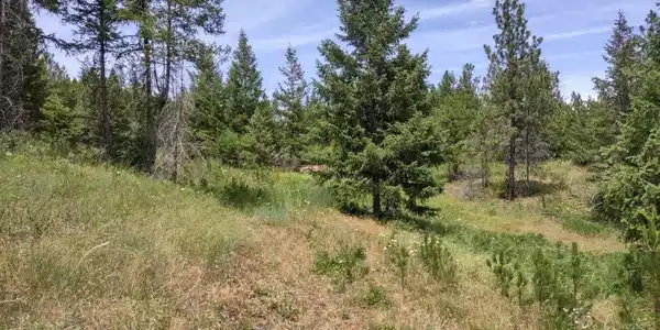 Image 4 Image 4